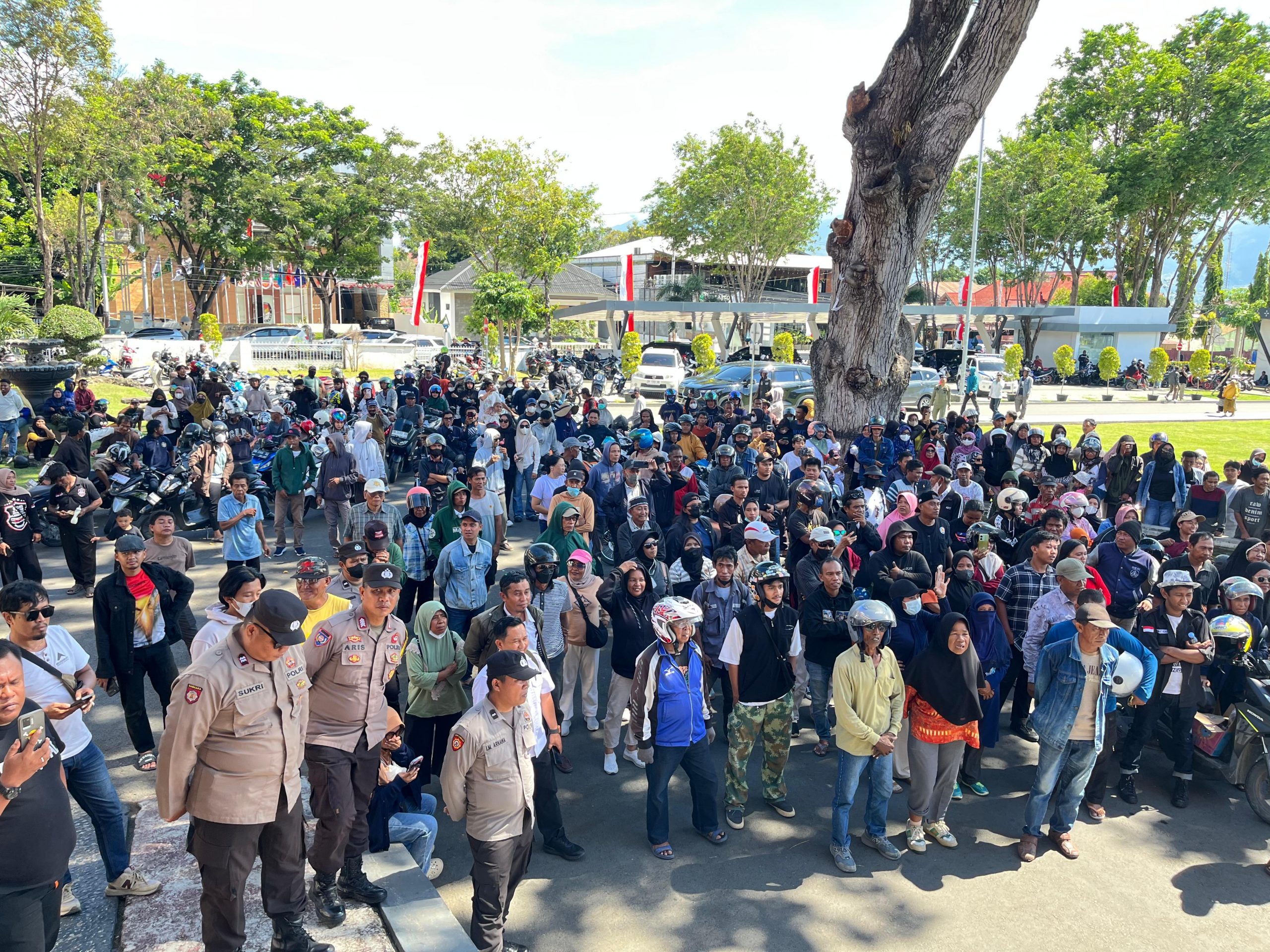 WhatsApp Image 2025-09-10 at 19.18.27 (1)