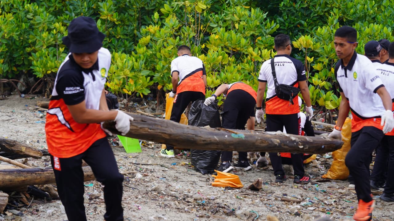 WhatsApp Image 2026-01-30 at 10.23.00 (2)