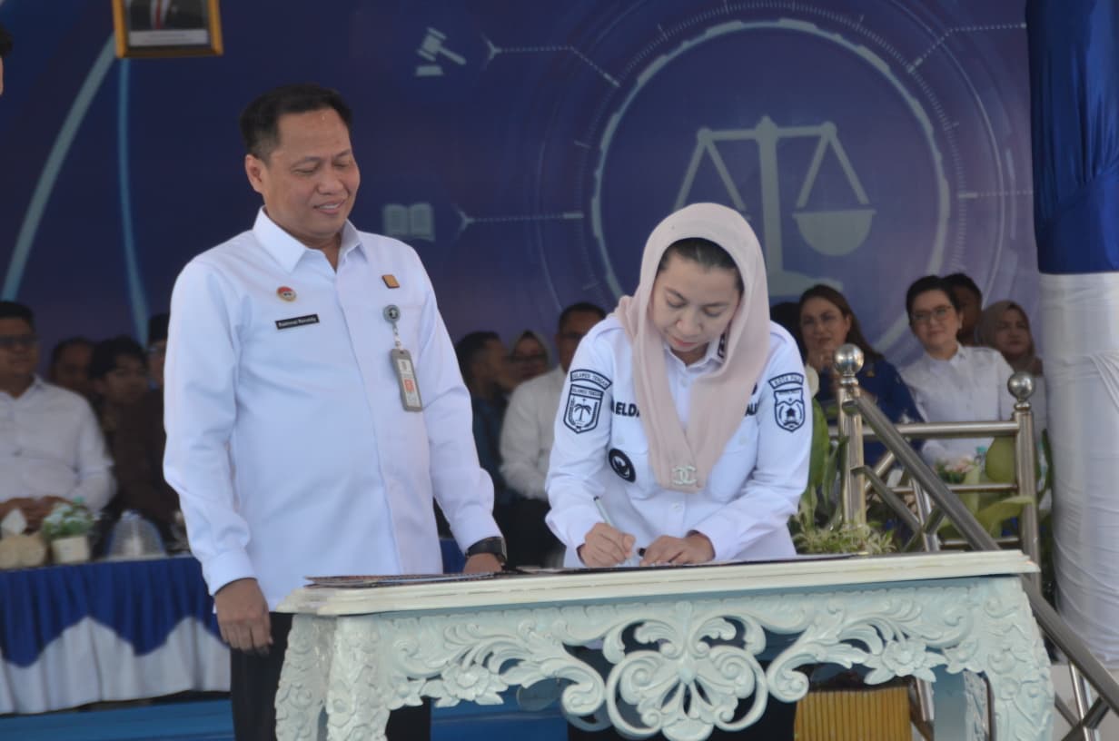 WhatsApp Image 2026-02-04 at 10.38.01