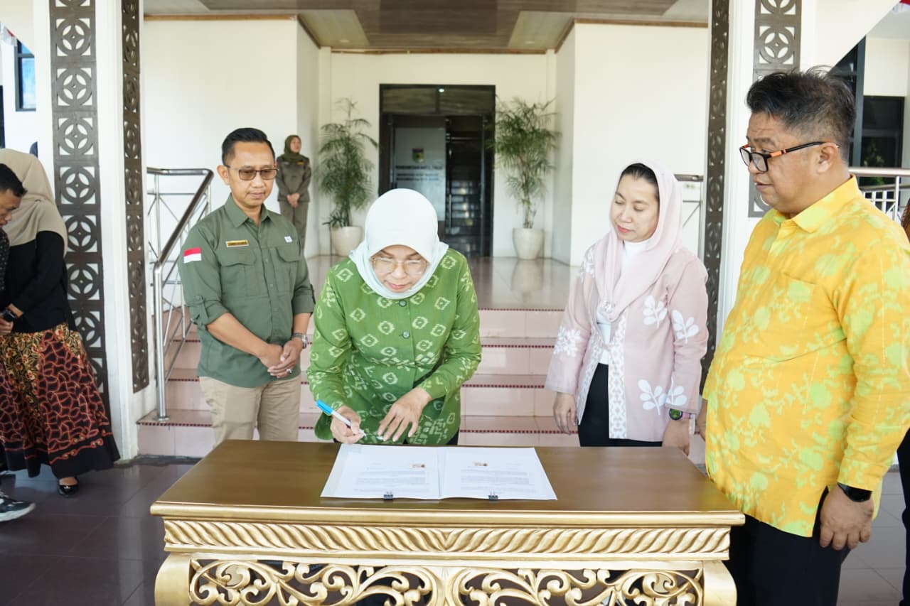 WhatsApp Image 2026-02-05 at 13.44.05