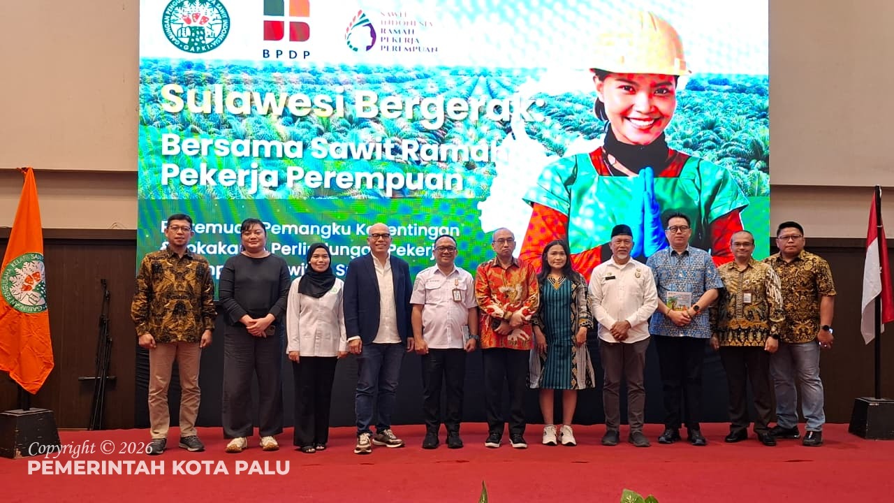 WhatsApp Image 2026-02-11 at 14.07.39