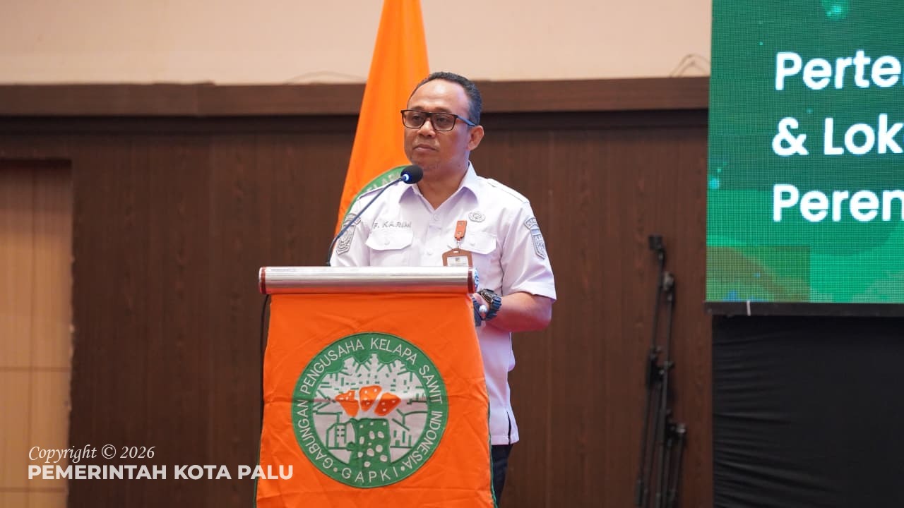 WhatsApp Image 2026-02-11 at 14.07.40