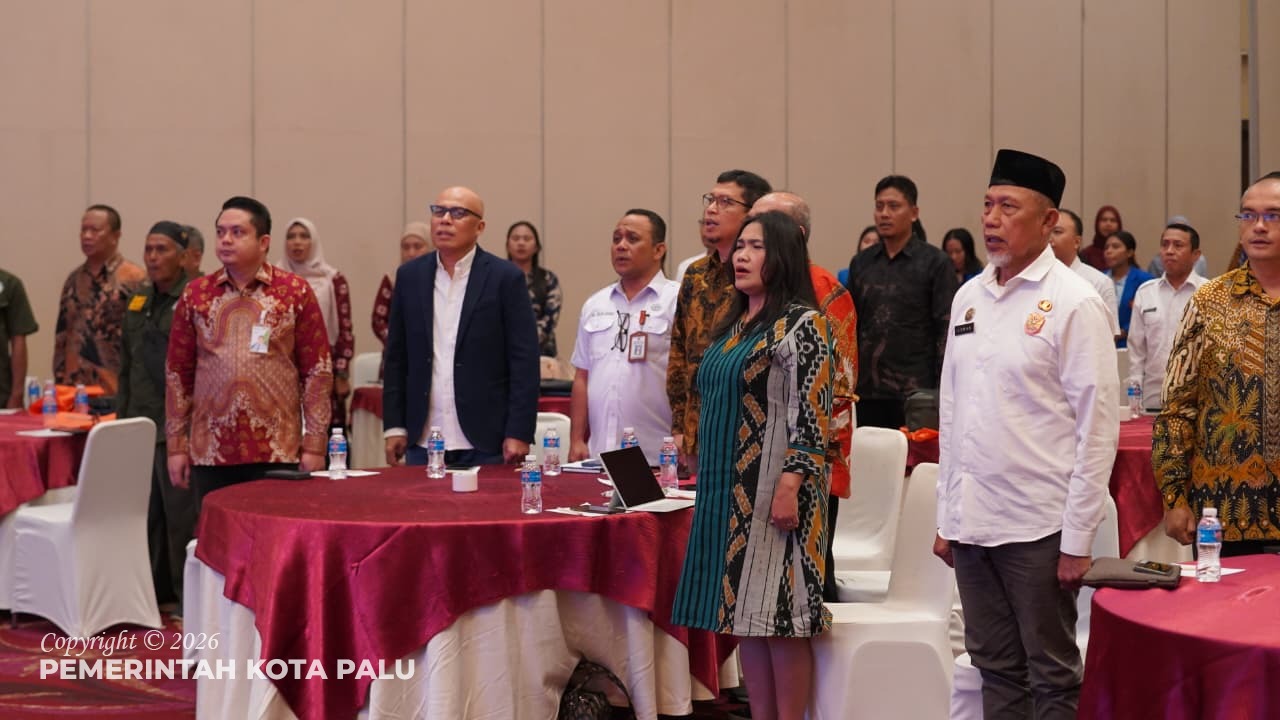 WhatsApp Image 2026-02-11 at 14.07.41