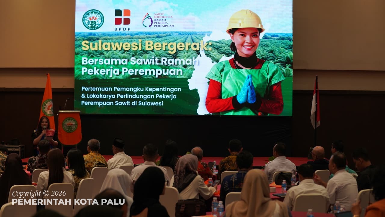 WhatsApp Image 2026-02-11 at 14.07.43 (1)