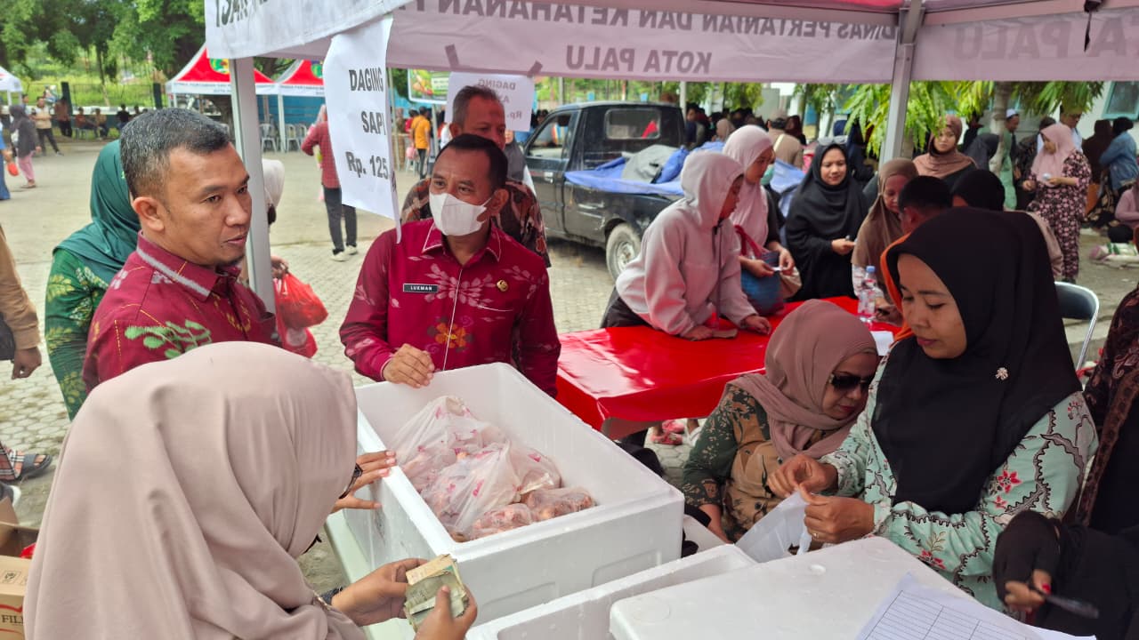 WhatsApp Image 2026-02-12 at 16.12.30