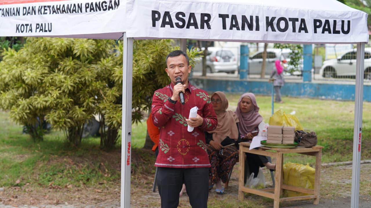 WhatsApp Image 2026-02-12 at 16.12.32 (1)