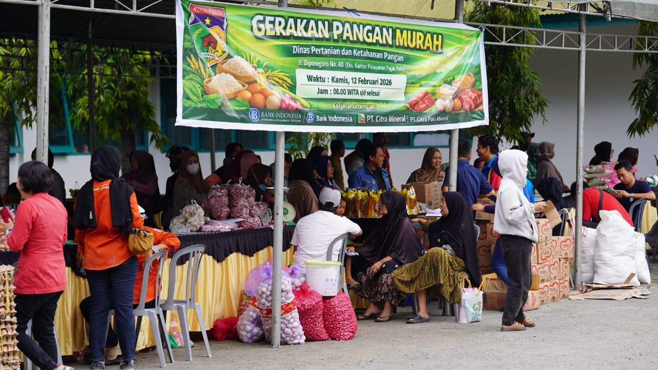 WhatsApp Image 2026-02-12 at 16.12.33