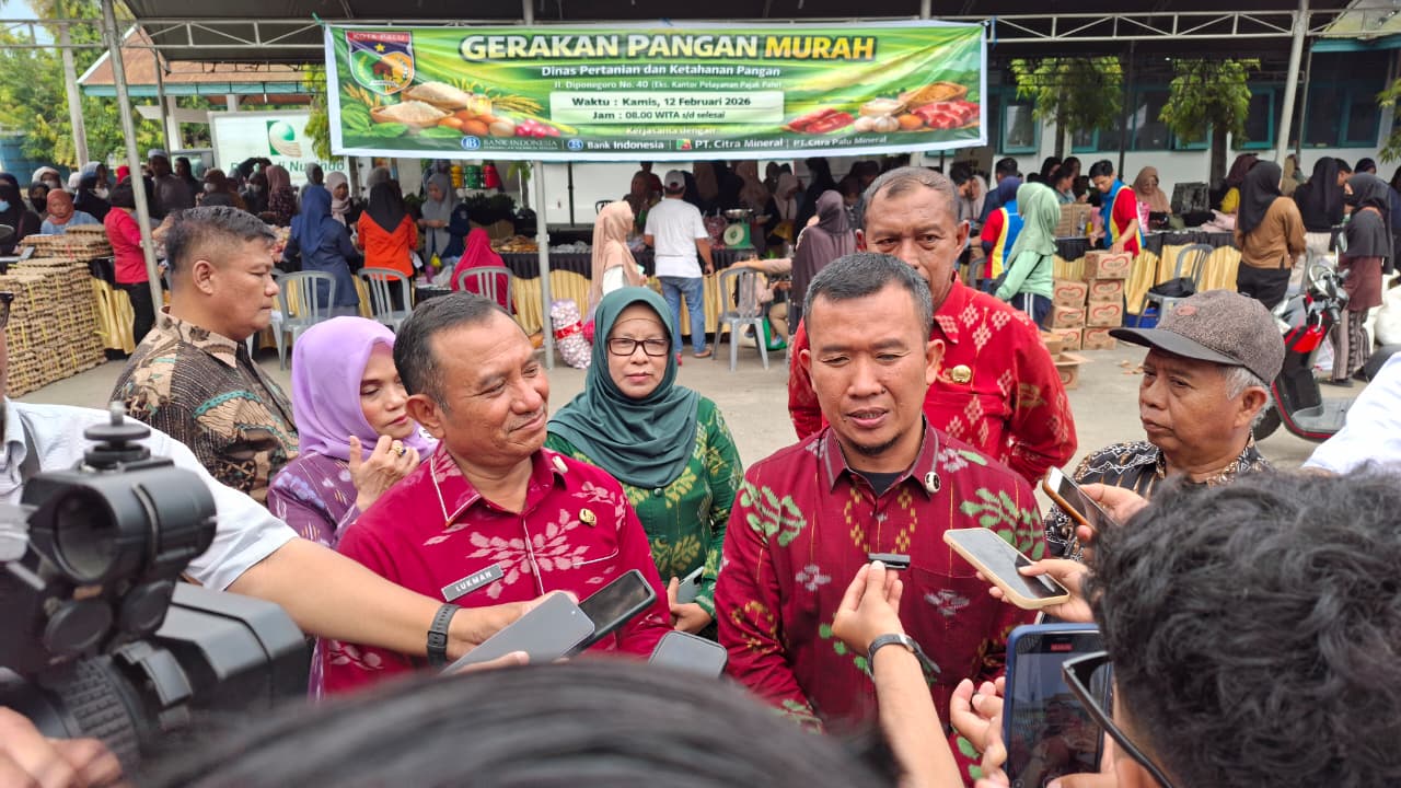 WhatsApp Image 2026-02-12 at 16.12.34 (1)