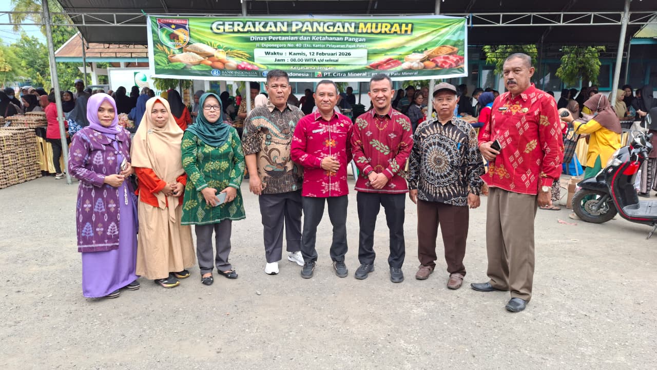 WhatsApp Image 2026-02-12 at 16.12.35