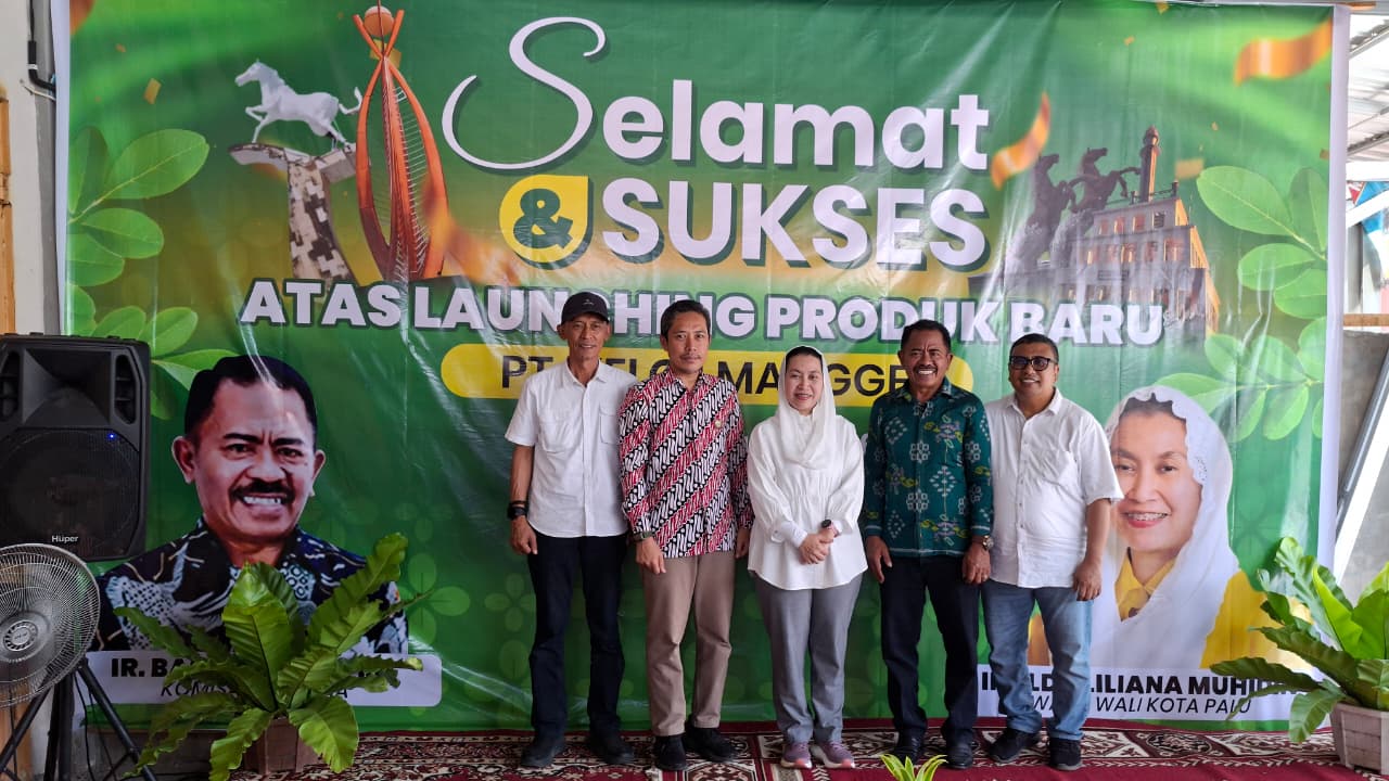 WhatsApp Image 2026-02-16 at 17.59.00