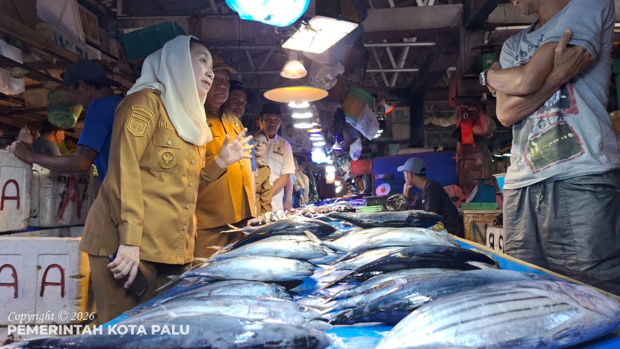 WhatsApp Image 2026-03-03 at 12.43.59