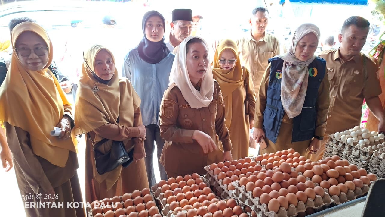 WhatsApp Image 2026-03-03 at 12.44.01