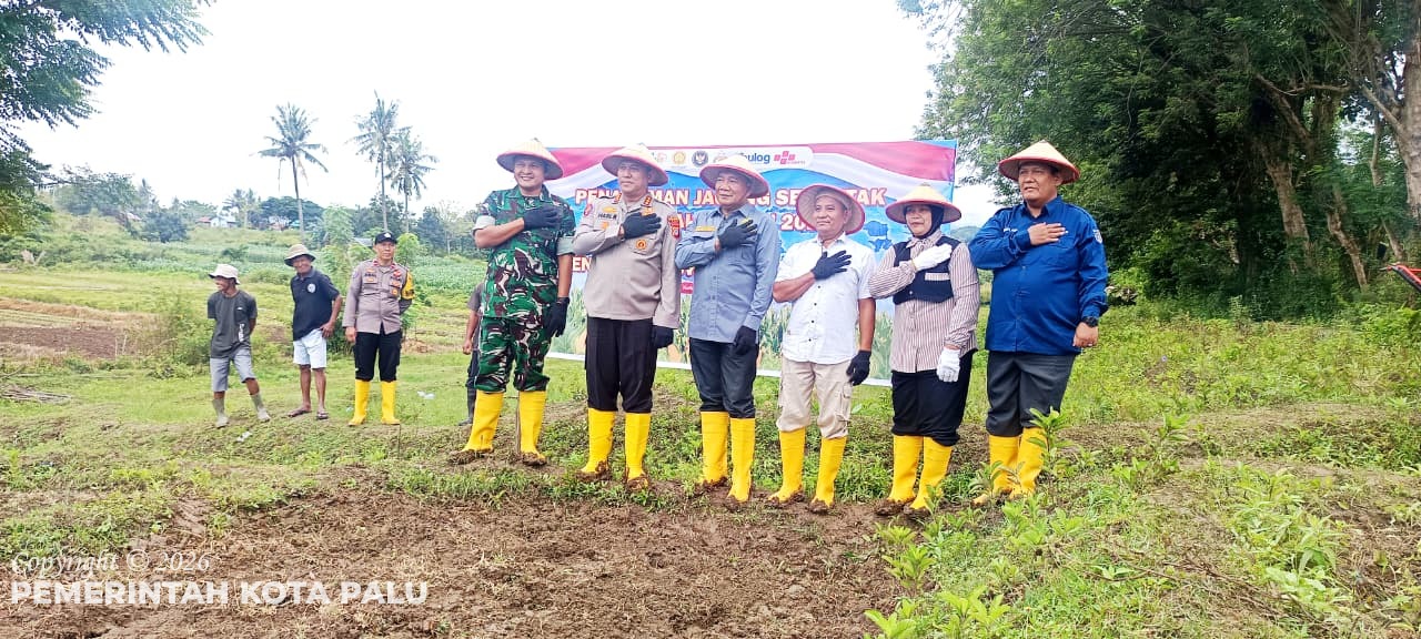 WhatsApp Image 2026-03-07 at 20.26.50