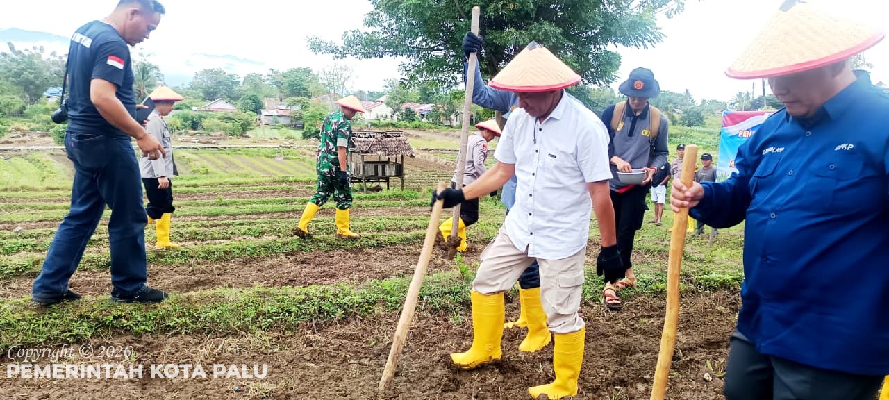 WhatsApp Image 2026-03-07 at 20.26.51