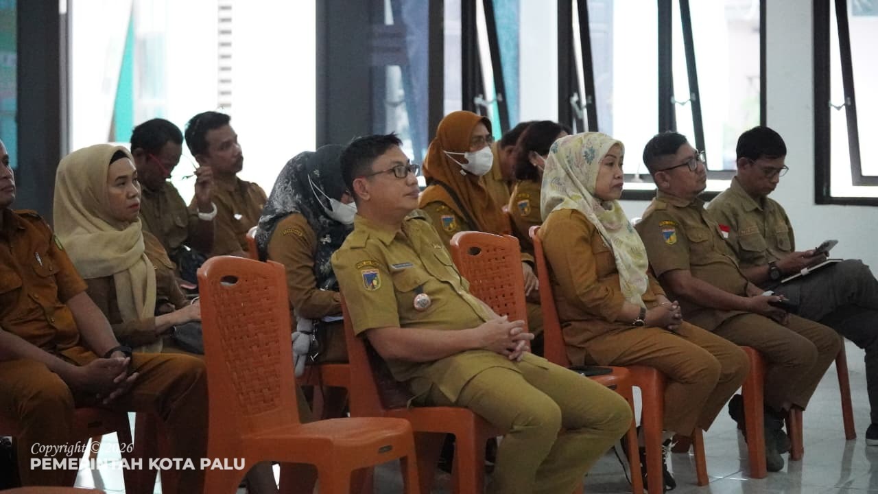 WhatsApp Image 2026-03-10 at 17.29.39