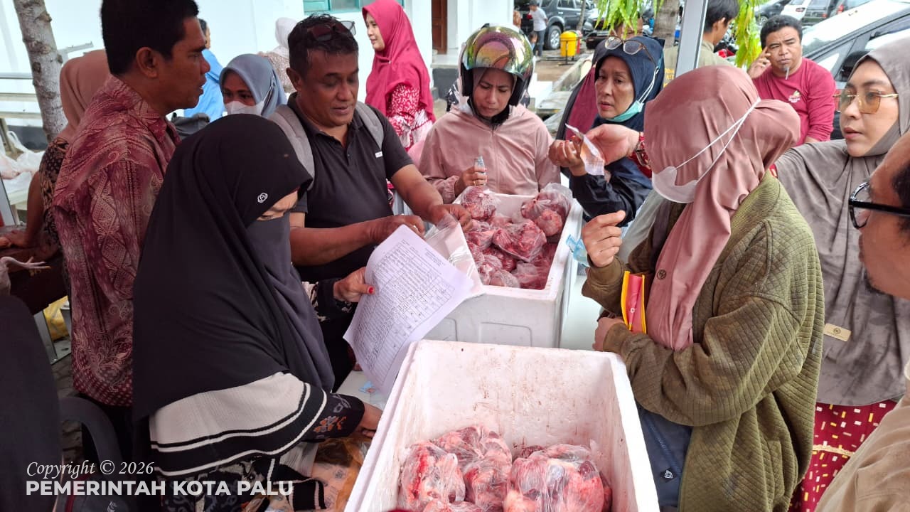 WhatsApp Image 2026-03-12 at 13.34.34