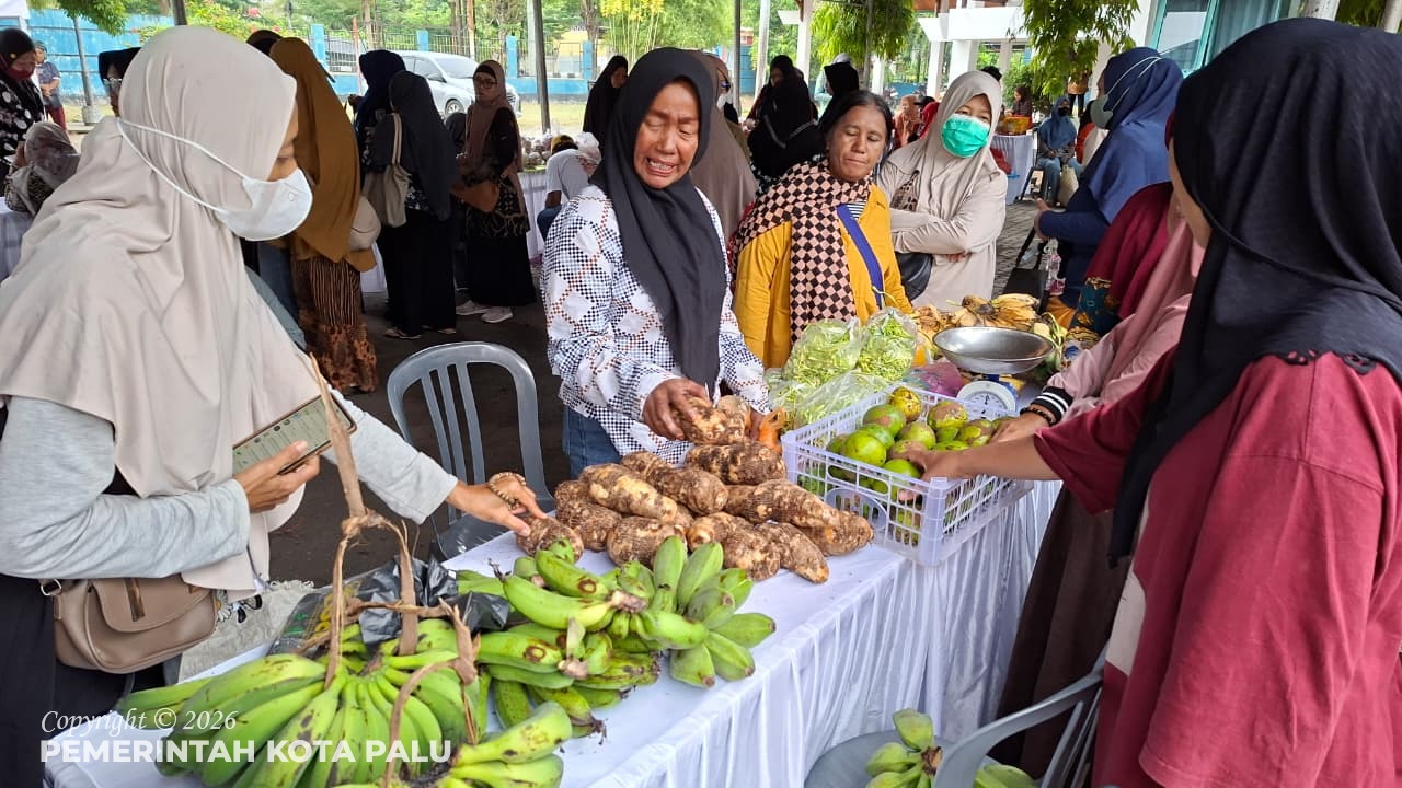 WhatsApp Image 2026-03-12 at 13.34.42