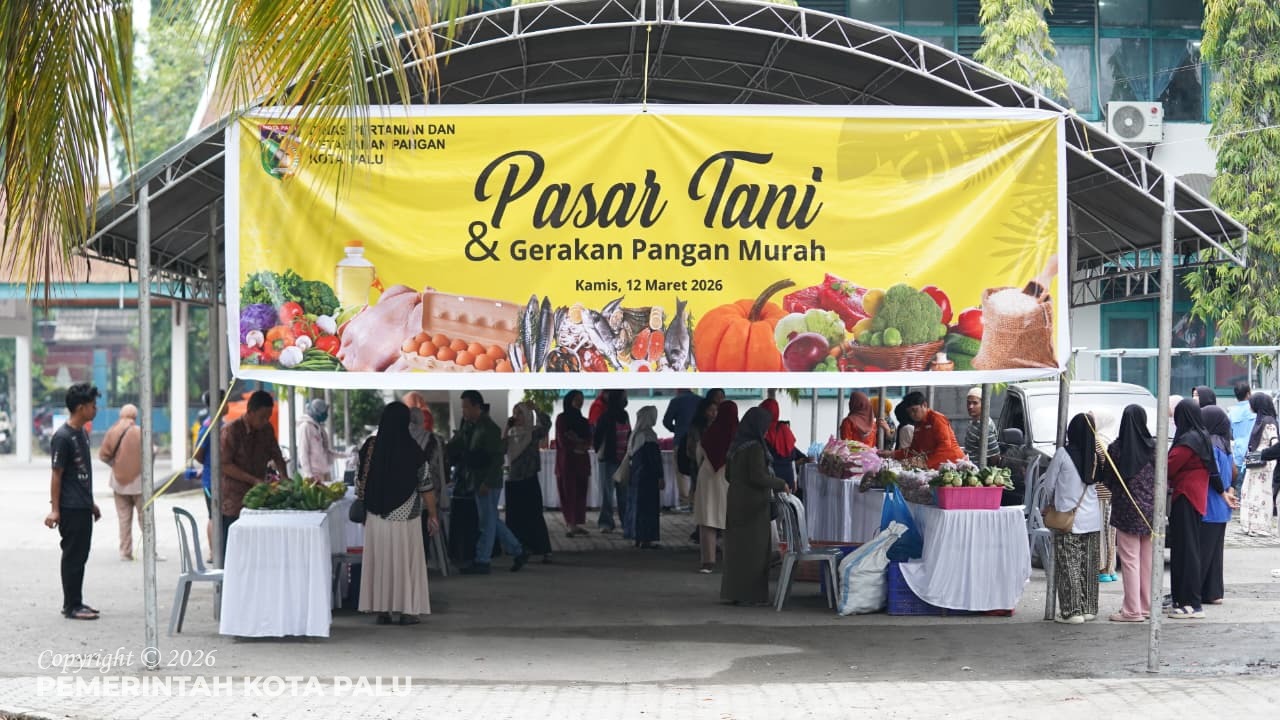 WhatsApp Image 2026-03-12 at 13.34.43 (1)