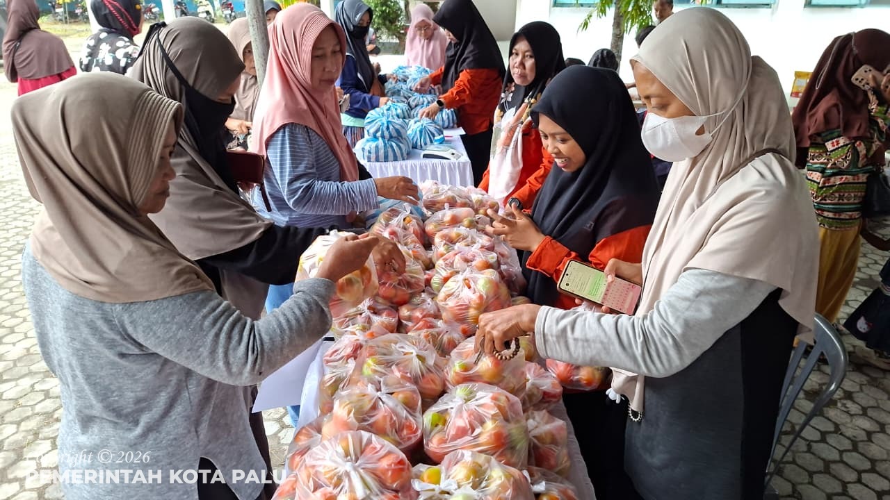 WhatsApp Image 2026-03-12 at 13.34.43