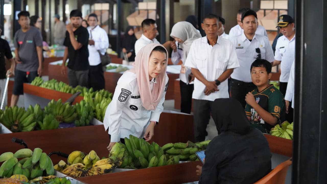 WhatsApp Image 2026-04-15 at 08.50.04